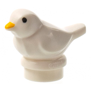 white bird small with black eyes and bright light orange beak pattern