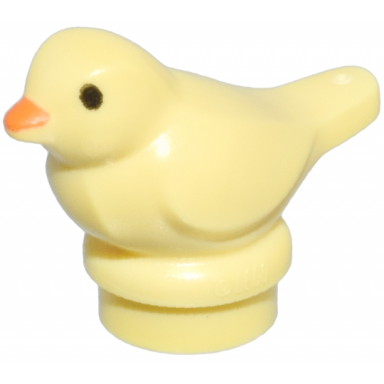 bright light yellow bird small with black eyes and orange beak pattern