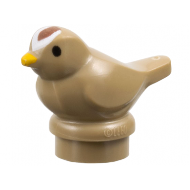 dark tan bird small with black eyes bright light orange beak and reddish brown and white forehead pattern