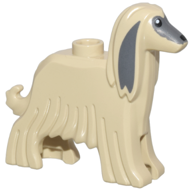 tan dog afghan hound with dark bluish gray face and ears black eyes and nose and white pupils pattern
