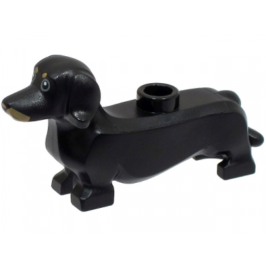 black dog dachshund with dark tan eyebrows and muzzle dark bluish gray rings around eyes pattern bam