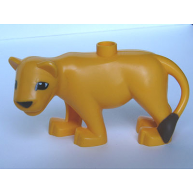 bright light orange duplo cat large adult female lioness with black nose and eyes almond shaped reddish brown tail end pattern