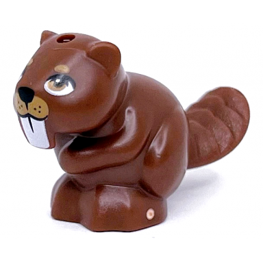reddish brown beaver with nougat eyes medium nougat muzzle black nose and white teeth pattern