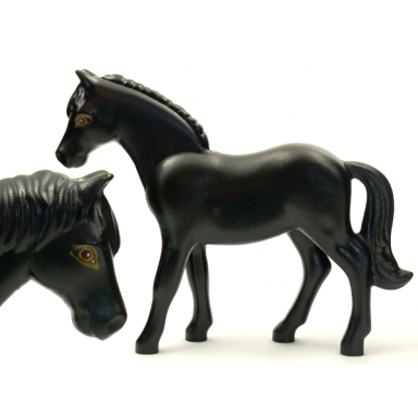 black horse belville with dark orange rimmed eyes pattern