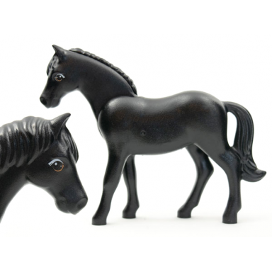 black horse belville with large round eyes with light gray top and dark orange bottom eyelids small glints pattern