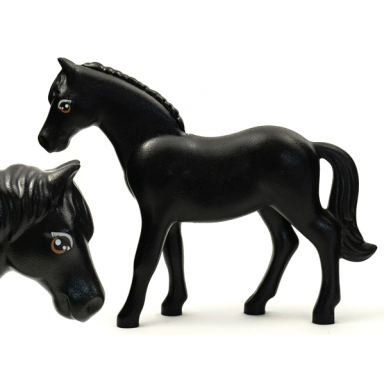 black horse belville with large round eyes with light gray top and dark orange bottom eyelids large glints and eyelashes pattern