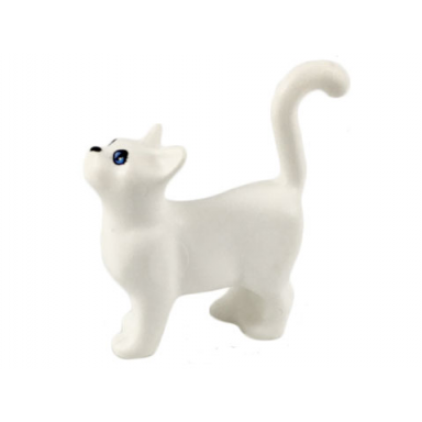 white cat belville scala standing with blue eyes and black nose pattern