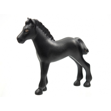 black horse foal belville with brown outlined eyes with eye whites and white pupils pattern