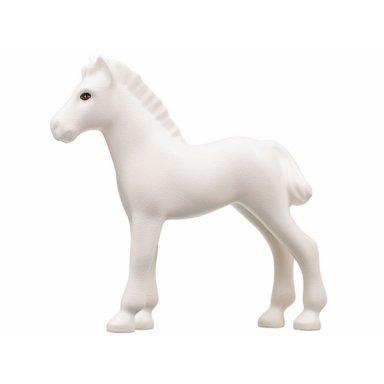 white horse foal belville with black outlined eyes with brown irises pattern