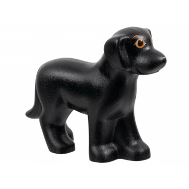 black dog belville standing with orange eyes and eyebrows and white nose pattern