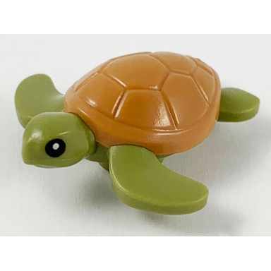 olive green sea turtle baby with black eyes and medium nougat shell pattern