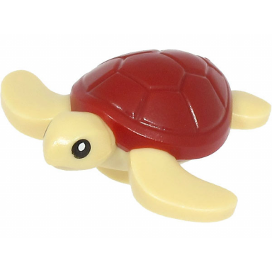 tan sea turtle baby with black eyes and dark red shell pattern