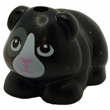 black guinea pig friends with bright pink nose and mouth black eyes with dark bluish gray contour right eye and white muzzle pattern lucky