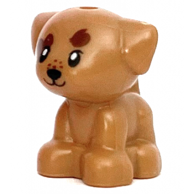 medium nougat dog friends puppy standing small with reddish brown spots pattern