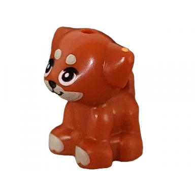 dark orange dog friends puppy standing small with tan muzzle paws and spots pattern aira