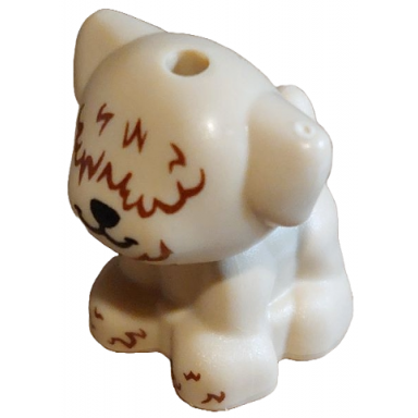 dog friends puppy standing small with black nose and mouth reddish brown hair over eyes pattern pali