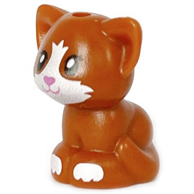 dark orange cat friends baby kitten sitting with black eyes dark pink nose and mouth and white muzzle and paws pattern