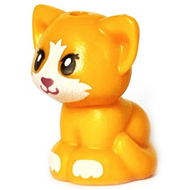 bright light orange cat friends baby kitten sitting with metallic pink nose white muzzle and paws pattern