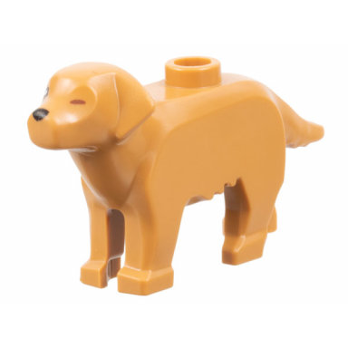 medium nougat dog labrador golden retriever with black right eye and nose reddish brown closed left eye pattern