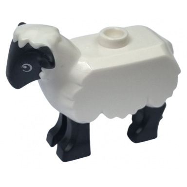 white sheep with black head and legs and eyes pattern