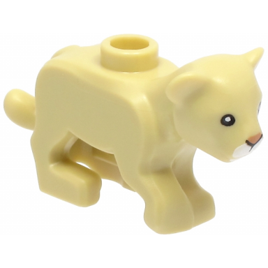 tan lion baby cub with black eyes nougat nose and white muzzle pattern
