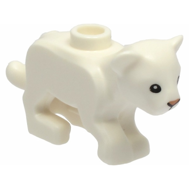 white lion baby cub with black eyes and nougat nose pattern