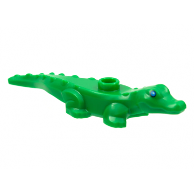 green alligator crocodile baby hatchling with blue eyes pattern