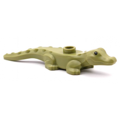 olive green alligator crocodile baby hatchling with black eyes pattern