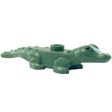 sand green alligator crocodile baby hatchling with black eyes pattern