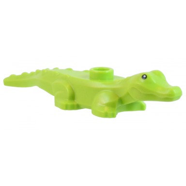 lime alligator crocodile baby hatchling with black eyes pattern