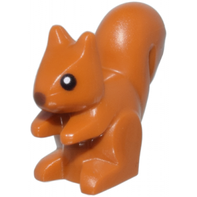 dark orange squirrel with reddish brown nose and black eyes with white pupils pattern