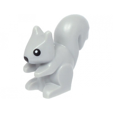 light bluish gray squirrel with black nose and eyes with white pupils pattern