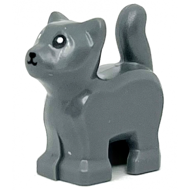 dark bluish gray cat baby kitten standing with black mouth nose and eyes with white pupils pattern