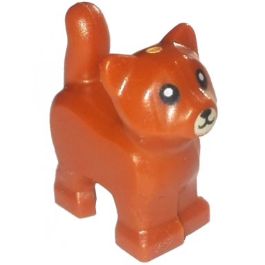 dark orange cat baby kitten standing with tan muzzle and black eyes nose and mouth pattern