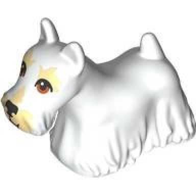 white dog terrier scottish scottie with reddish brown eyes black nose tan eyebrows and muzzle pattern