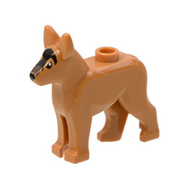 medium nougat dog alsatian german shepherd with black eyes nose blaze and dark brown muzzle pattern