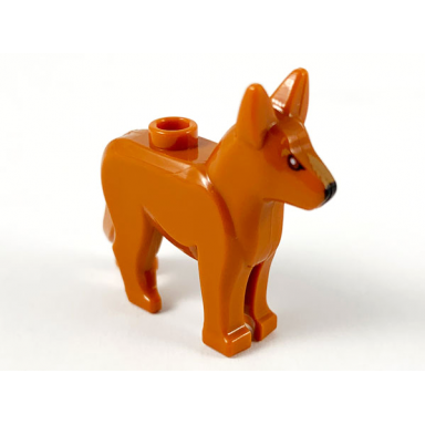 dark orange dog alsatian german shepherd with black eyes and nose dark tan on top of muzzle pattern