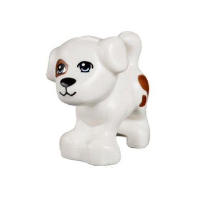white dog friends puppy standing with bright light blue eyes black nose and mouth reddish brown patch and spots pattern charlie jacky