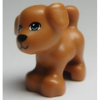 medium nougat dog friends puppy standing with bright light blue eyes black nose and mouth pattern bruno coco pippa