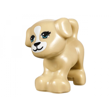 tan dog friends puppy standing with medium azure eyes with outline black nose and mouth white blaze and muzzle pattern