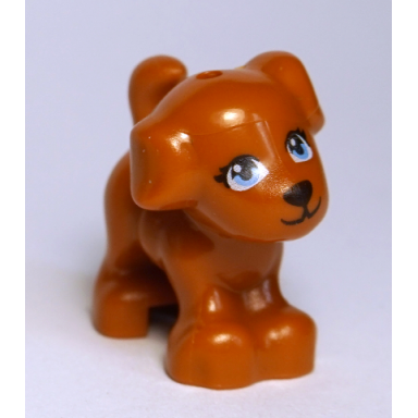 dark orange dog friends puppy standing with bright light blue eyes and black nose mouth and eyelashes pattern coco