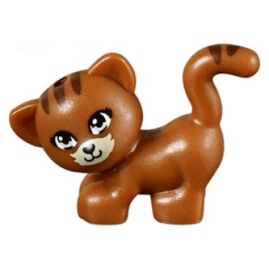 dark orange cat friends standing and looking left with tan eyes and muzzle black nose and mouth and reddish brown stripes pattern