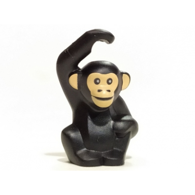 black chimpanzee with light nougat face and ears pattern