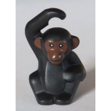 black chimpanzee with reddish brown face and ears pattern bam
