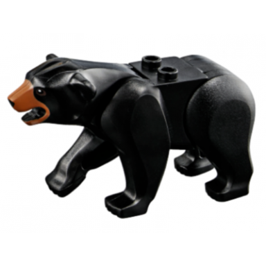 black bear with 2 studs on back with medium nougat muzzle pattern