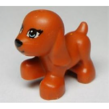 dark orange dog friends puppy walking with bright light blue eyes and black nose and mouth pattern scarlett