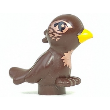 dark brown bird friends elves with bright light orange beak and copper chest and eyes pattern