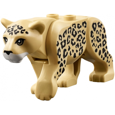 tan cat large leopard with white muzzle and black nose and spots pattern