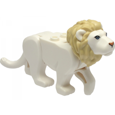 white cat large lion with tan mane bright light blue eyes and nougat nose pattern