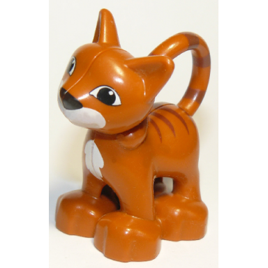 dark orange duplo cat standing with white chest and mouth darker orange stripes pattern